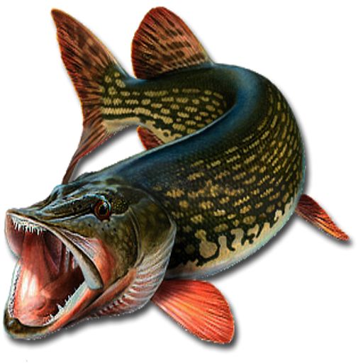 По щучьему веленью | Емеля